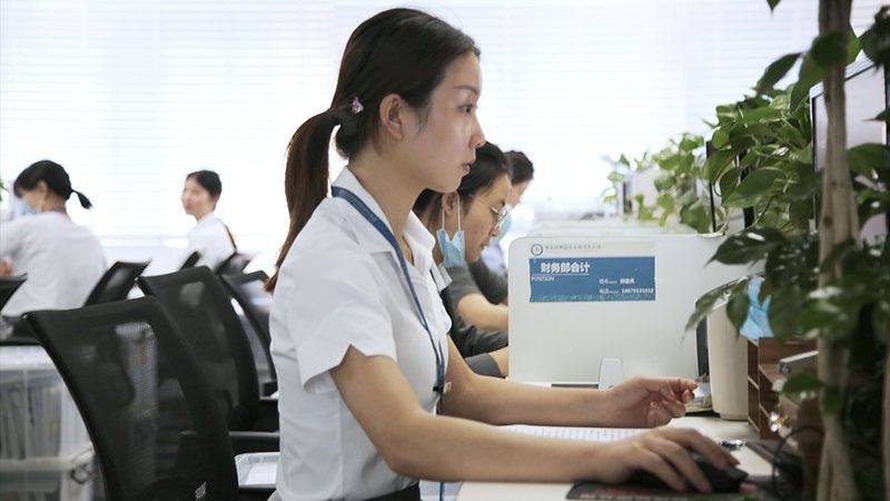 注册小型公司成本解析：揭秘费用构成与节省之道