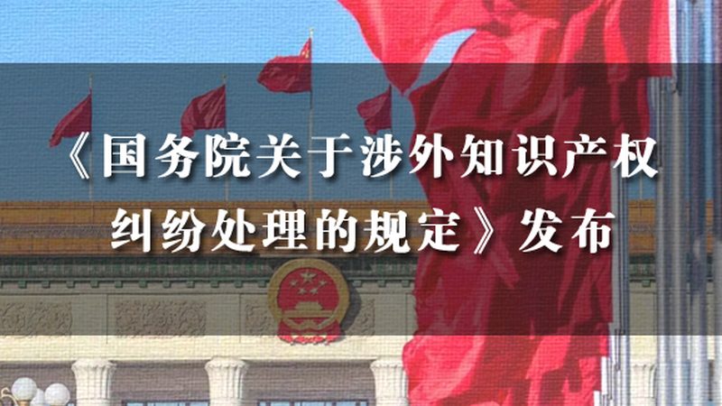 法律咨询与律师委托：流程差异解析