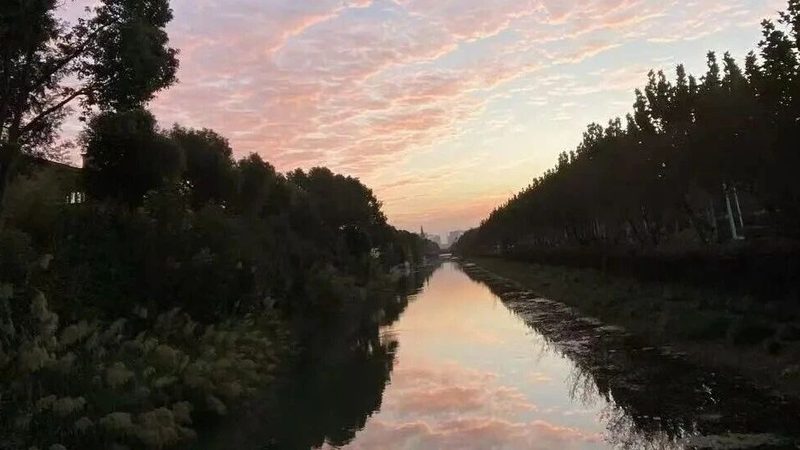 实用新型权利要求书模板定制